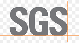 Logo de SGS - Certificación de Auditor Interno de Alejandro IAs